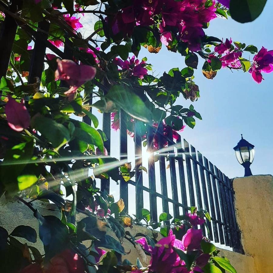 La Casa Di Beatrice Bed & Breakfast Панглао Екстериор снимка
